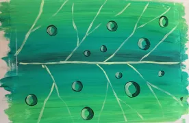 24