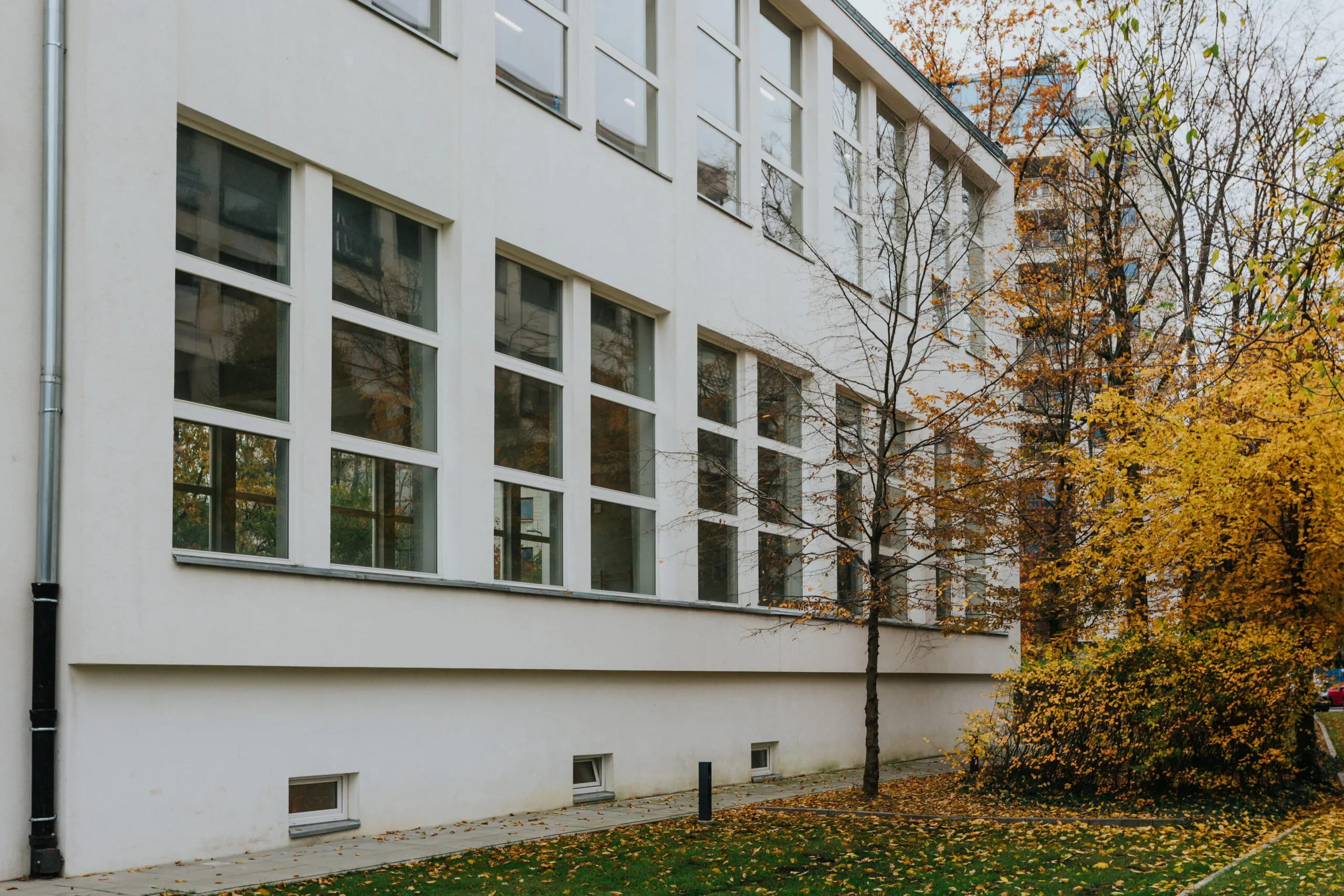 Szkoła Podstawowa Specjalna nr 111